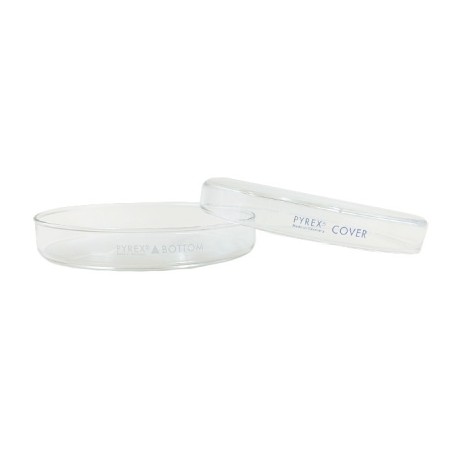 CAJA PETRI 150X20MM PYREX