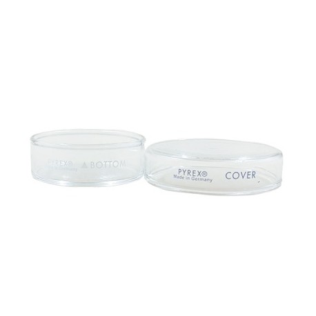 CAJA PETRI 60 X15MM PYREX