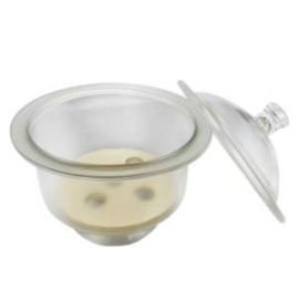 DESECADOR 210MM CON TAPA Y PLACA DE PORCELANA