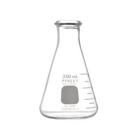 MATRAZ ERLENMEYER 250 ML PYREX