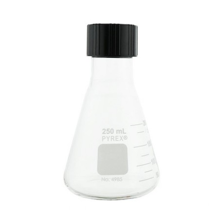 MATRAZ ERLENMEYER 250ML CON TAPON DE ROSCA